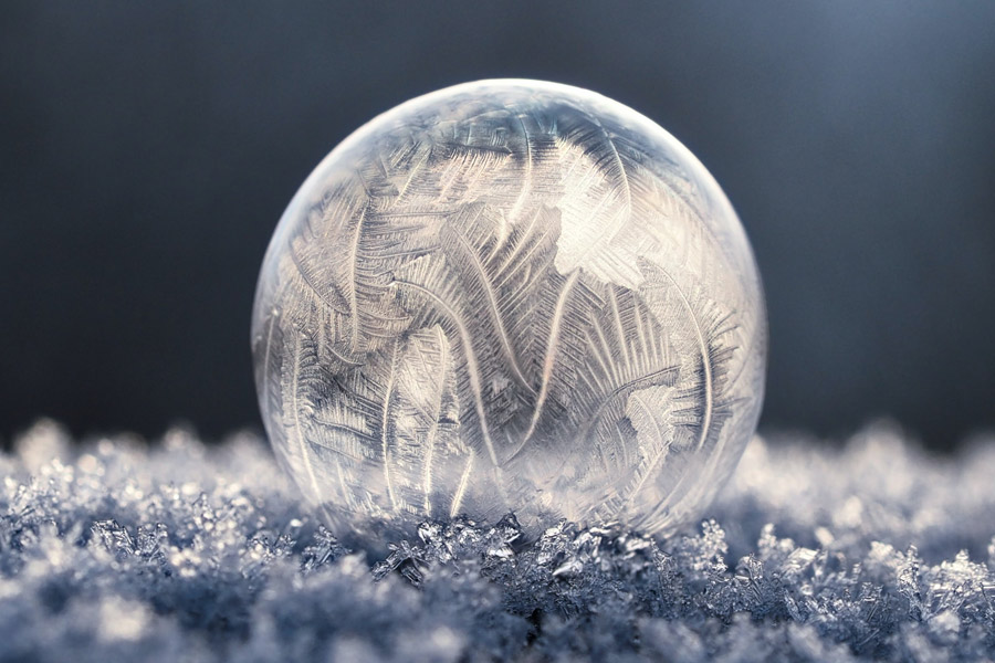 winter workshop