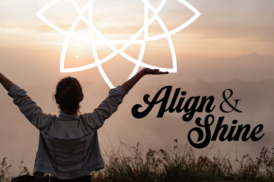 align and shine workshop