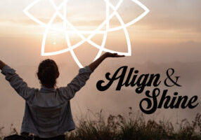 align and shine workshop